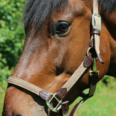 Licol Plaited Nylon Kentucky Licol Plaited Nylon Kentucky