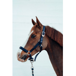 Licol Hardwick B Vertigo Bleu marine foncé