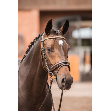Frontal Horze Nancy Cristal avec frontal ligne Horze Frontal Horze Nancy Cristal avec frontal ligne Horze