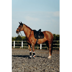 Tapis de selle de dressage Drew B Vertigo Noir Tapis de selle de dressage Drew B Vertigo Noir