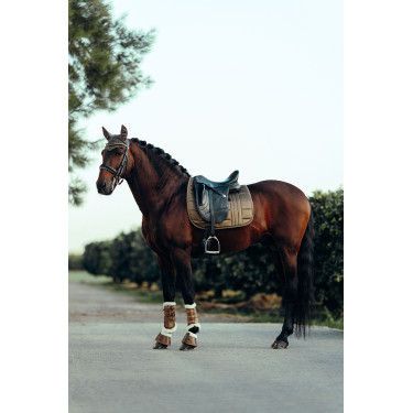 Tapis de selle de dressage Drew B Vertigo Petit marron Kaki