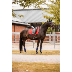 Tapis de selle de dressage Amory avec monogramme brodé B Vetigo Rouge rose barberry Tapis de selle de dressage Amory avec monogramme brodé B Vetigo Rouge rose barberry