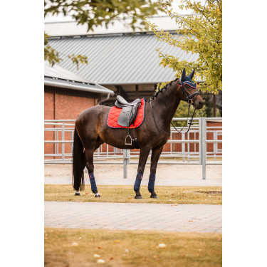 Tapis de selle de dressage B Vertigo Amory avec monogramme brodé Tapis de selle de dressage B Vertigo Amory avec monogramme brodé