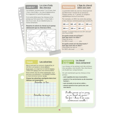 Mon Cahier d'Activités Niveau CM1 Lavauzelle Mon Cahier d'Activités Niveau CM1 Lavauzelle