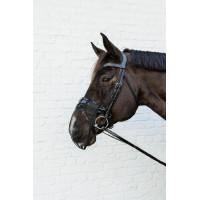 Filet de nez Kentucky Noir Filet de nez Kentucky Noir