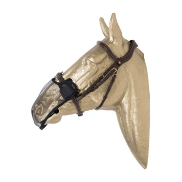 Filet de nez Kentucky Noir