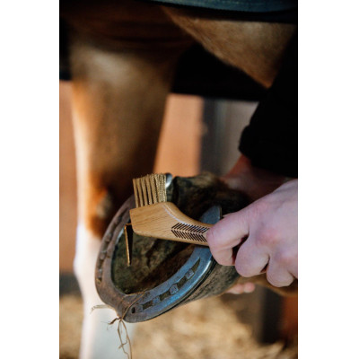 Cure pied avec brosses métalliques Kentucky Marron