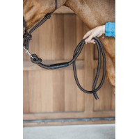 Longe Dy'on avec mousqueton Marron