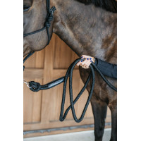 Longe d'entrainement Dy'on avec mousqueton Noir