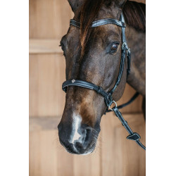 Bridon sans mors Bitless Dy'on Noir Bridon sans mors Bitless Dy'on Noir