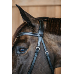 Bridon sans mors Bitless Dy'on Noir Bridon sans mors Bitless Dy'on Noir