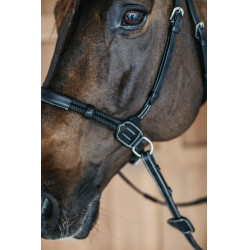 Bridon sans mors Bitless Dy'on Noir Bridon sans mors Bitless Dy'on Noir