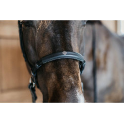 Bridon sans mors Bitless Dy'on Noir Bridon sans mors Bitless Dy'on Noir