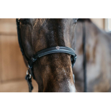 Bridon sans mors Bitless Dy'on Bridon sans mors Bitless Dy'on