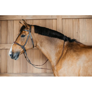 Bridon sans mors Bitless Dy'on Bridon sans mors Bitless Dy'on
