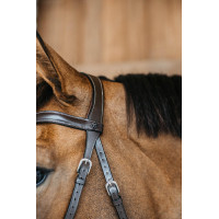 Bridon sans mors Bitless Dy'on Marron