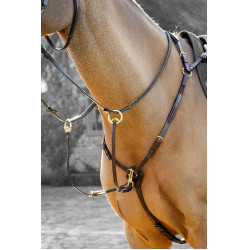 Collier de chasse avec martingale LeMieux Havane Marron