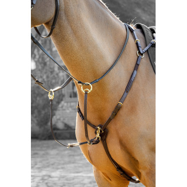 Collier de chasse avec martingale LeMieux Havane Marron