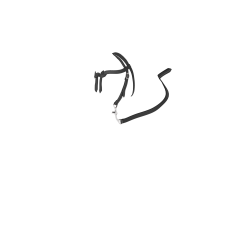 Bridon Western pour jouet Toy Pony Noir