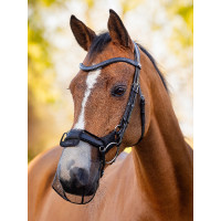 Filet de nez LeMieux Comfort Shield Drop Noir Filet de nez LeMieux Comfort Shield Drop Noir