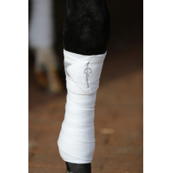 Bande polaire Empara Covalliero Blanc