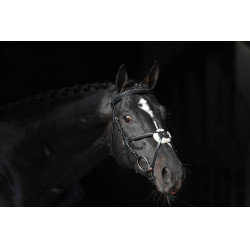 Bridon Cancun Covalliero Noir Bridon Cancun Covalliero Noir