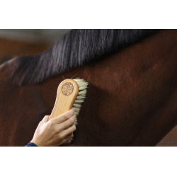 Brosse combinée Magic Brush Brosse combinée Magic Brush