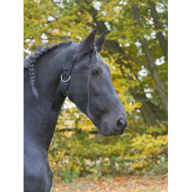 Collier d’attache Kerbl Collier d’attache Kerbl
