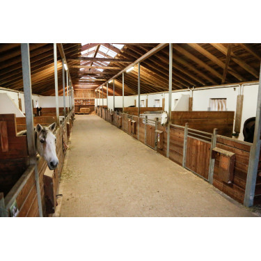 Caméra IPCam 360 FHD Compact Kerbl Noir