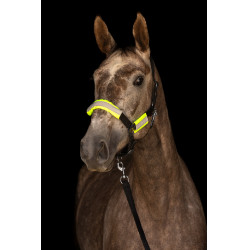 Kit bridon + licol réfléchissants Covalliero Kit bridon + licol réfléchissants Covalliero