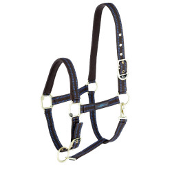 Licol cheval Royal Covalliero Marron / bleu clair