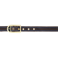 Licol cheval Royal Covalliero Bleu / caramel