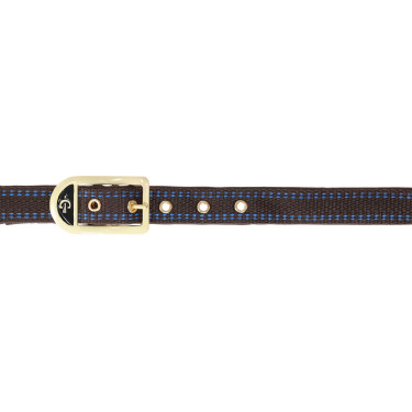 Licol cheval Royal Covalliero Marron / bleu clair