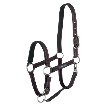 Licol cheval Royal Covalliero Noir / fuchsia
