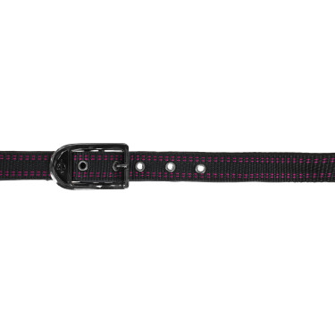 Licol cheval Royal Covalliero Noir / fuchsia