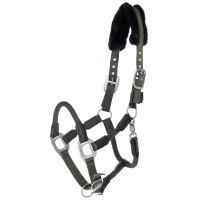 Licol Cordano Covalliero Olive