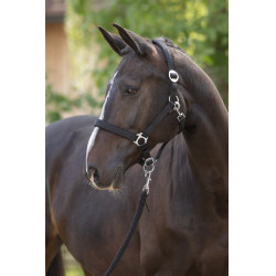 Licol Doria Covalliero Noir