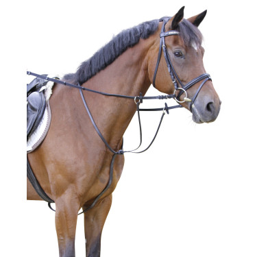Martingale Covalliero Martingale Covalliero