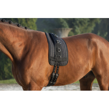 Tapis pour surfaix Covalliero Tapis pour surfaix Covalliero