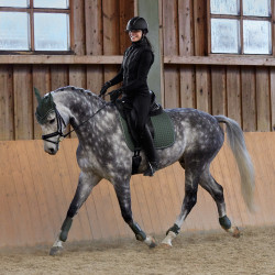 Tapis de selle mixte Adepto Horze Bleu canal Tapis de selle mixte Adepto Horze Bleu canal