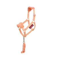 Licol pour hobby horse LeMieux Abricot Orange Licol pour hobby horse LeMieux Abricot Orange