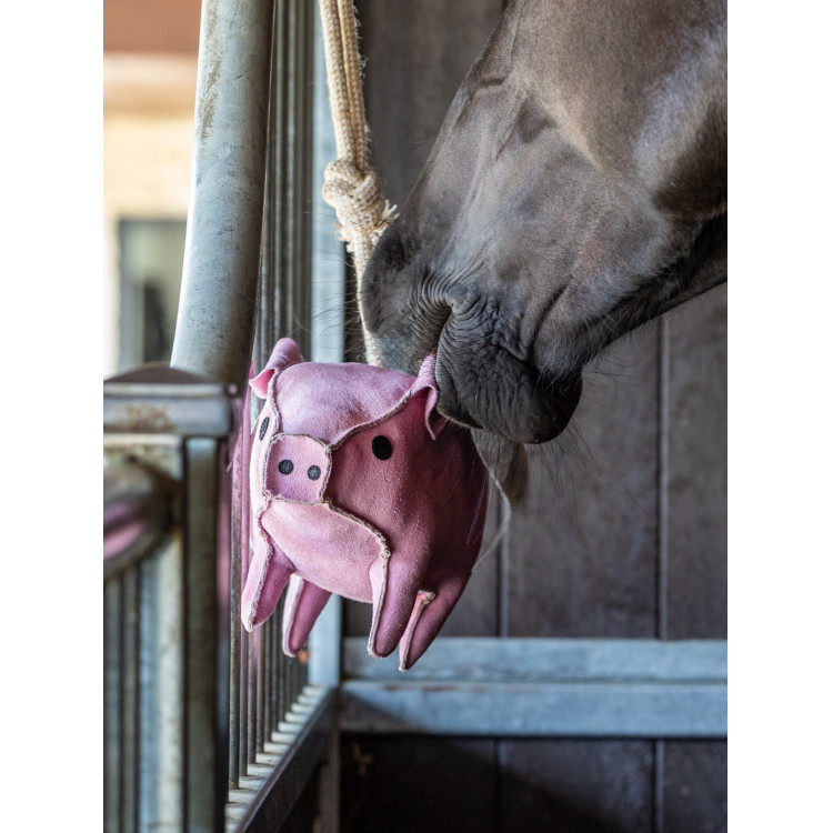 Jouet pour chevaux LeMieux Jouet pour chevaux LeMieux