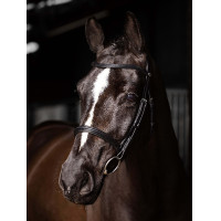 Bridon LeMieux Arika Cavesson Noir / argent Bridon LeMieux Arika Cavesson Noir / argent
