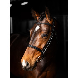 Bridon LeMieux Arika Cavesson Noir / argent Bridon LeMieux Arika Cavesson Noir / argent