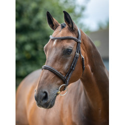 Bridon LeMieux Arika Cavesson Marron / argent