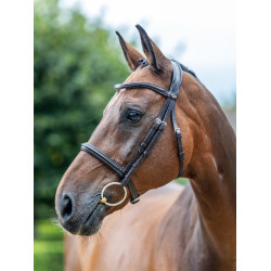 Bridon LeMieux Arika Cavesson Marron / argent