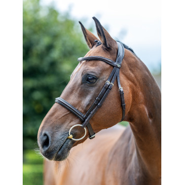 Bridon LeMieux Arika Cavesson Marron / argent Bridon LeMieux Arika Cavesson Marron / argent