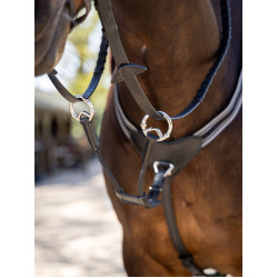Martingale LeMieux élastique avec protection de poitrail Noir / argent Martingale LeMieux élastique avec protection de poitrail Noir / argent