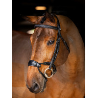 Bridon LeMieux Kudos muserolle anatomique réglable Noir / argent Bridon LeMieux Kudos muserolle anatomique réglable Noir / argent