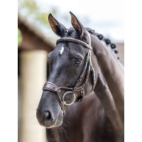 Bridon LeMieux Kudos muserolle anatomique réglable Noir / argent